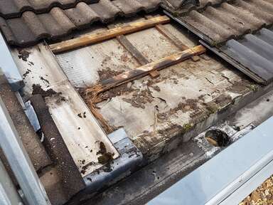 Hier sehen Sie ein paar Entdeckungen und Schäden, die auf Dächern entstehen können.